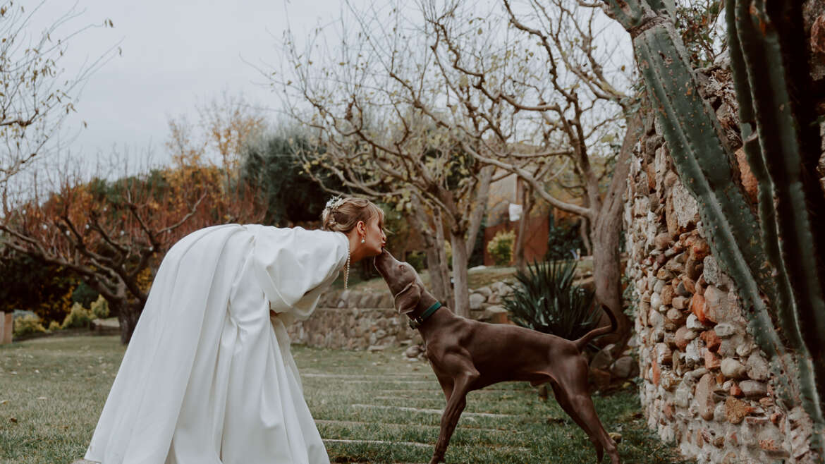 Wedding Photo 18